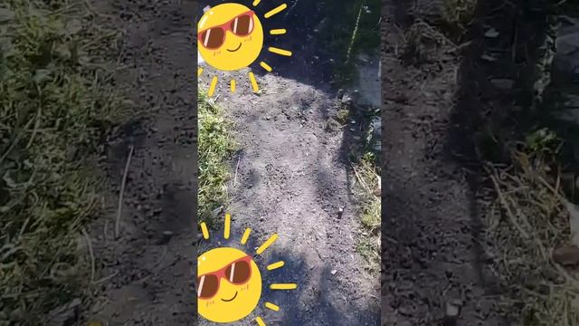 Ура!. У нас теперь дорожки ).20241002