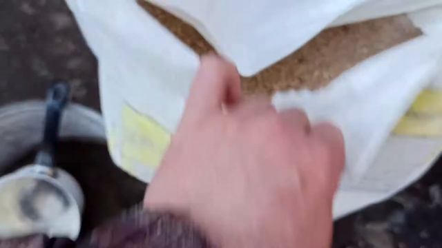 Мы переехали, как сделать комбикорм для свиней /23 Серия/ смотреть онлайн