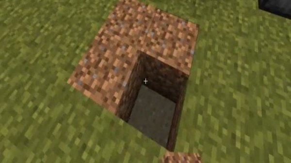 Дверь из поршней