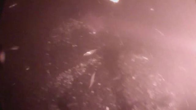 Экспериментальный подводный фонарь смотреть онлайн