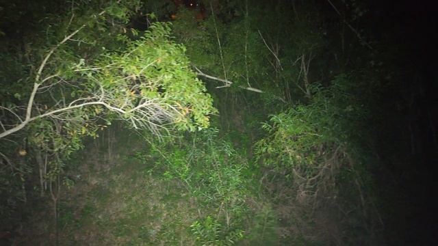 Mavic 3 Night Flying through wooded area with 4x ld70 lights on it. I ALMOST CRASH! смотреть онлайн