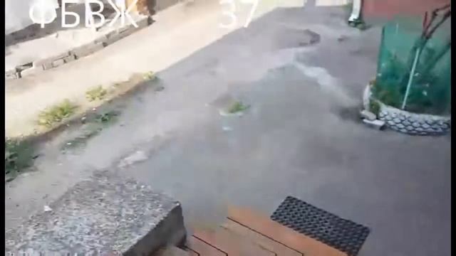 ФБВЖ отбила квартиру в центре для Клиента Аренда с выкупом смотреть онлайн