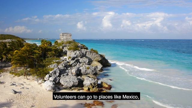 PREPARE_6_Culture Video_subtitles_11 смотреть онлайн