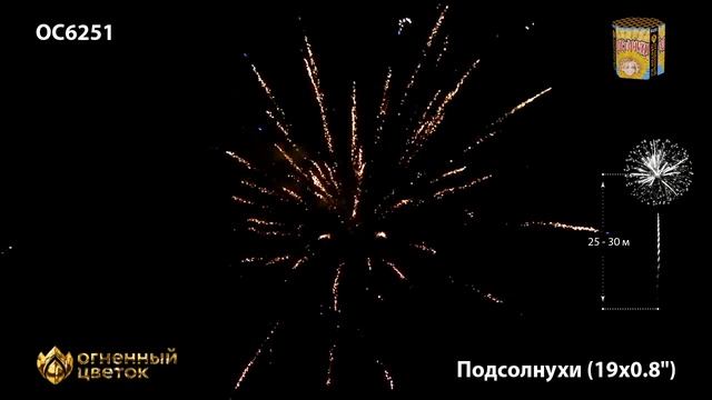 OC6251 смотреть онлайн