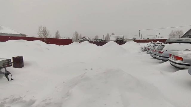 Бычок в деле. смотреть онлайн