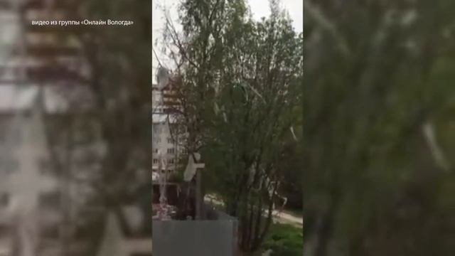 Строители дома в Вологде выкидывают мусор из окон прямо на деревья смотреть онлайн
