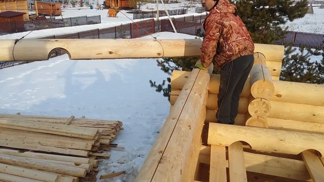 Сборка дома из бревна смотреть онлайн