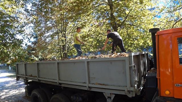 Группа 8МС БПК смотреть онлайн
