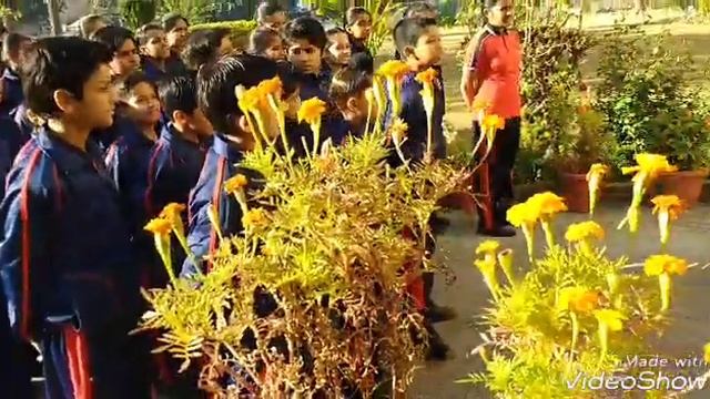 Jaipur international public school,bani park , Jaipur sanskrit смотреть онлайн