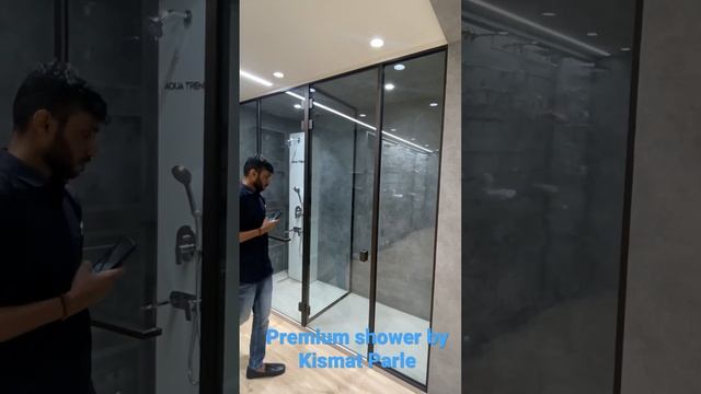 Profile Shower Partition смотреть онлайн