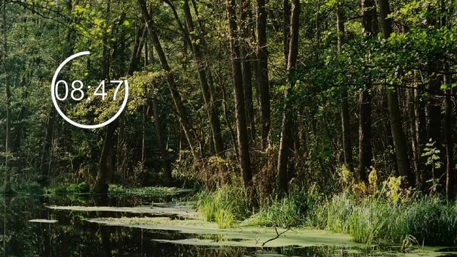 मामी झोपेत असताना 18 | Marathi Katha | Chavat Katha | Marathi Story | Ratrichi Nagri |