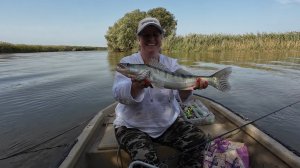 НАША РЫБАЛКА В АСТРАХАНИ 2024(часть 4)