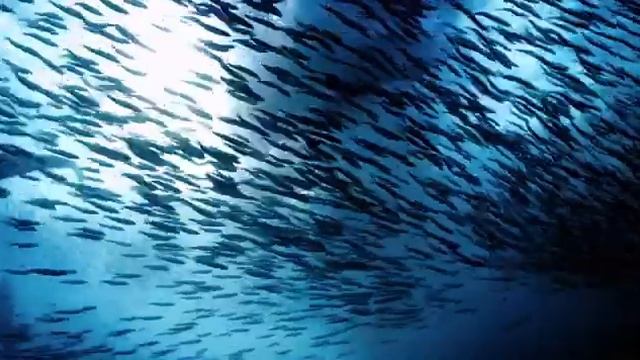 Video_3 смотреть онлайн