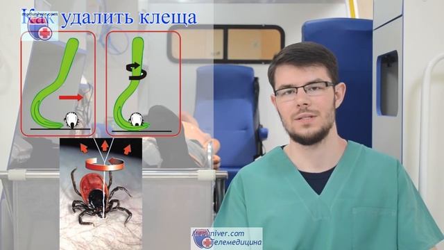 Первая помощь при укусе клеща смотреть онлайн