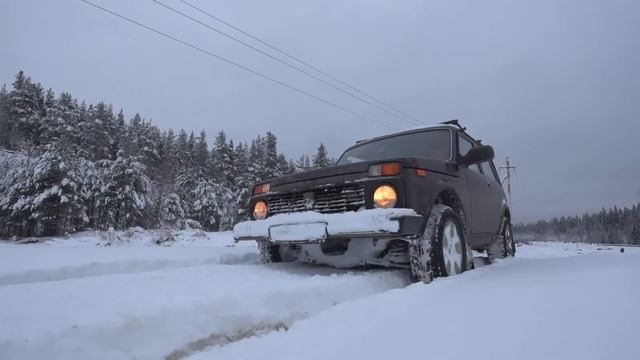 Автоквест Русский Лесной Альянс смотреть онлайн