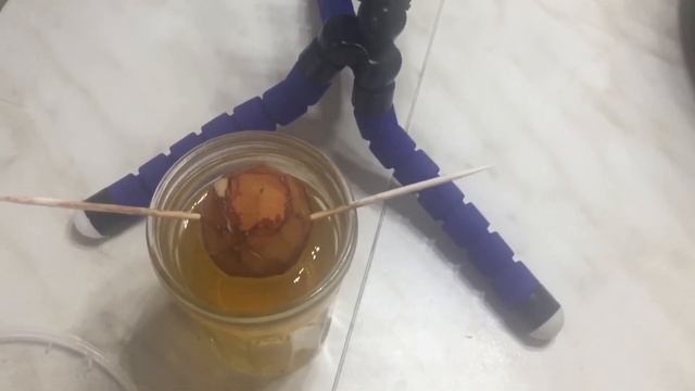 Влог. Ураган разбил нам дверь смотреть онлайн