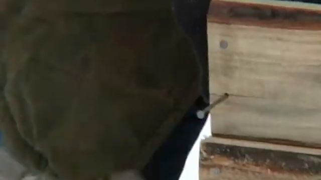 Зарабатывайте с нами.wmv смотреть онлайн