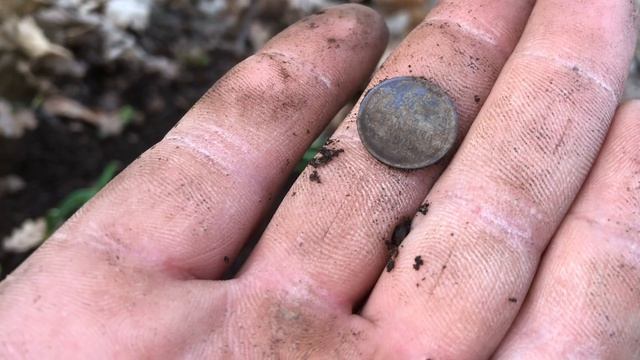 Где то в лесах Крыма.Копаем интересные находки!(коп по скифам)!!