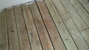 О чем нужно подумать до укладки шпунтованной половой доски