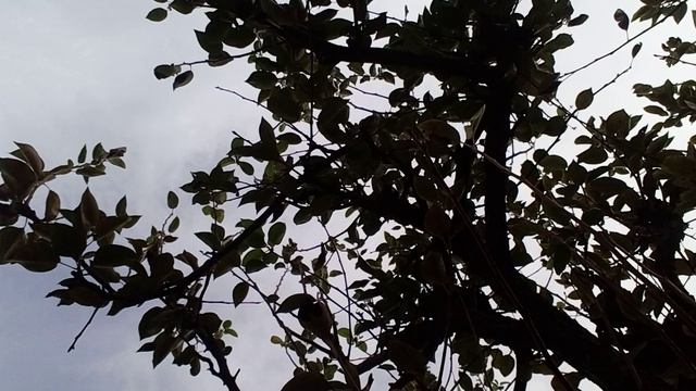 20241002_102539.mp4 смотреть онлайн