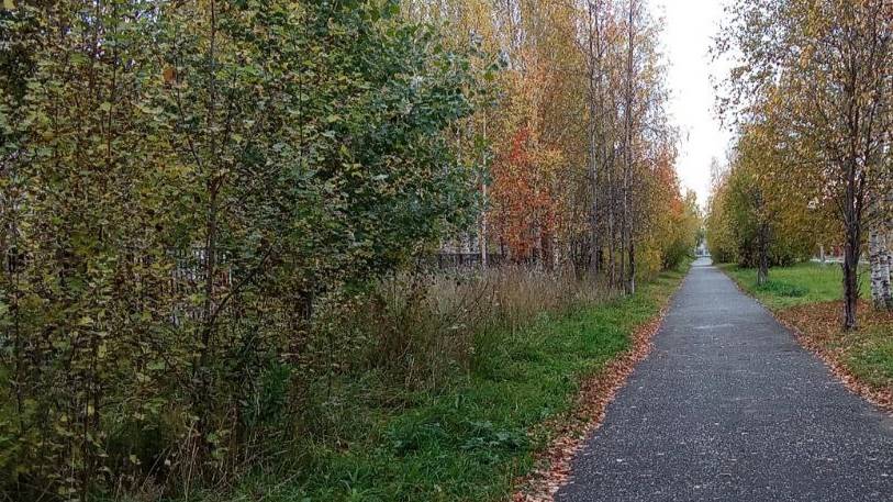 ПРОГУЛКА смотреть онлайн