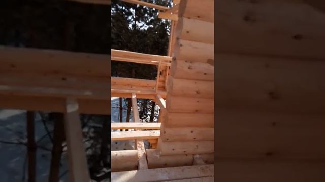 Вид мансарды из нутри. Голый скелет смотреть онлайн