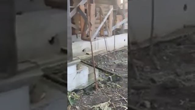 Лен.обл. Вяхтелево, 17 сот, жилой дом 200 кв м. смотреть онлайн