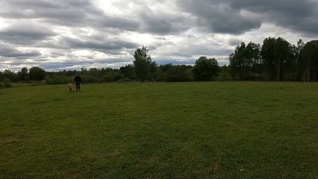 СДЕЛАЛ СЕБЕ ПОДАРОК ! КУПИЛ ХУТОР В ЛЕСУ ! СТРОЮ СВОЮ УСАДЬБУ ! №8 смотреть онлайн