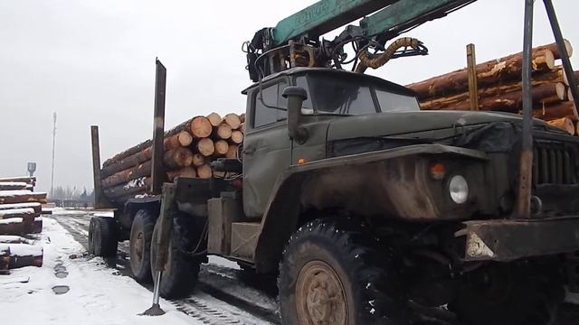 Подвоз древесины для рубки сруба смотреть онлайн