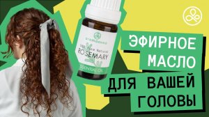 Масло розмарина для волос и кожи головы