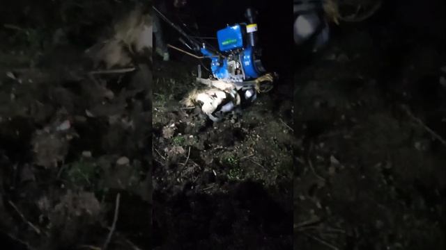 small triller 9 hp diesel engine#triller #tractor #shortfeed смотреть онлайн