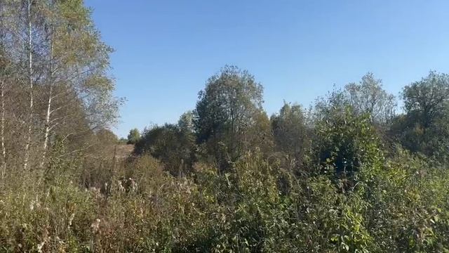 зу :696 д. Мостки смотреть онлайн