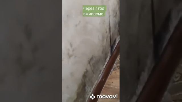 Фада Антипліснява смотреть онлайн