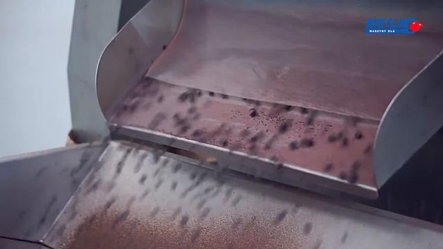 Berry Fruit Processing Line after Freezing смотреть онлайн