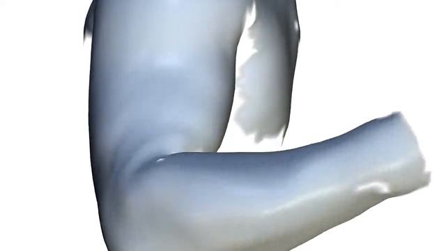 Capture and Statistical Modeling of Arm-Muscle Deformations - Eurographics 2013 смотреть онлайн