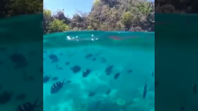 Обзор Пиратская жизнь/Нинки все завидуют 😱😱😱 смотреть онлайн