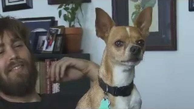 Talking Dog Doug and John Neff смотреть онлайн