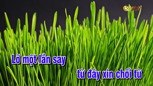 Karaoke Lá Thư Cuối Cùng | Nhạc Sống Tone Nam | Karaoke Tuấn Cò смотреть онлайн