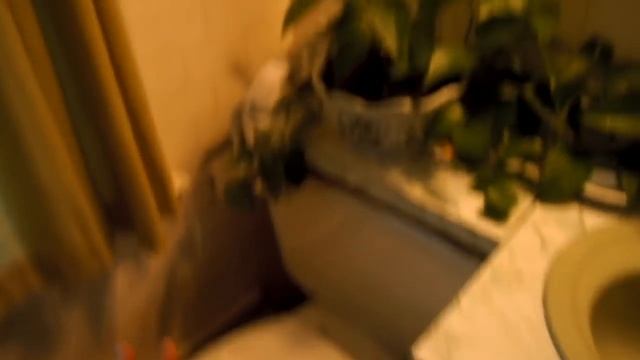 Feng Shui Bathroom Tips by Laura Cerrano of Feng Shui Long Island NY and NYC смотреть онлайн