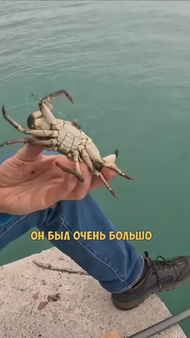 Как поймать барабулю