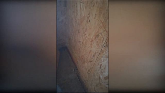 Строительство домов по технологии СИП смотреть онлайн