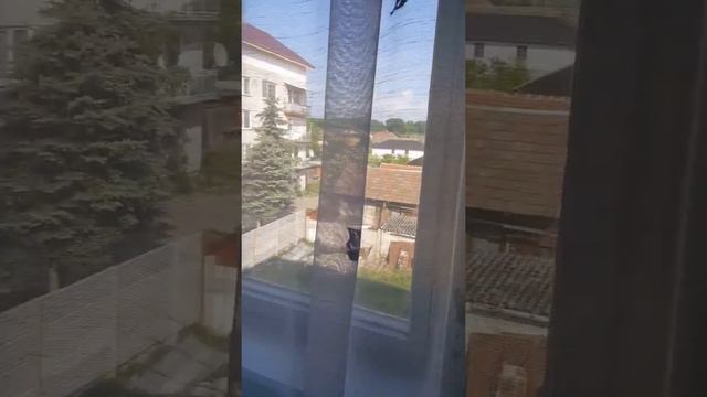 4 bytovka Kolarovo смотреть онлайн