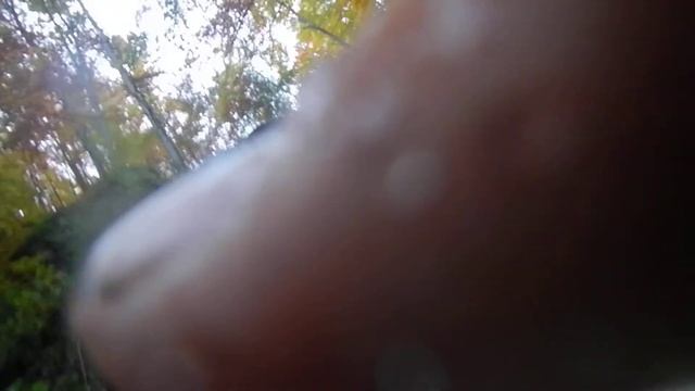 Купание в водопаде Шепот 11.10.2014 смотреть онлайн