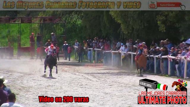 3.-Muñeco Diabolico vs El Ilegal смотреть онлайн