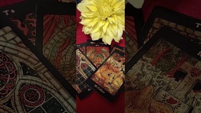 ❗Перемены в Жизни, Чем порадует Судьба ✨ таро прогноз смотреть онлайн