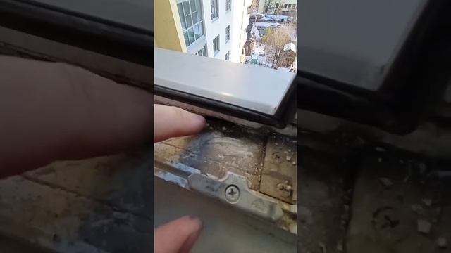 Почему мы не меняем уплотнитель на раме? #секретыоконщика смотреть онлайн
