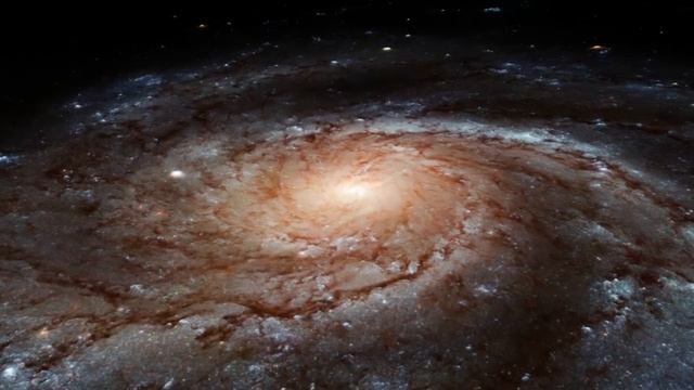 Наша восхитительная Вселенная. Как научные факты указывают на существование Творца