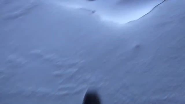Мурманск Мореходка 19 01 2013 смотреть онлайн