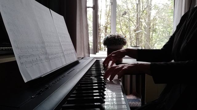 Андре Ганьон, Осенние мечты
André Gagnon, Reves D'Automne