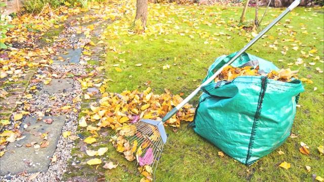 Почему строить дом в лесу это ошибка, которая принесет вам разочарование.. смотреть онлайн